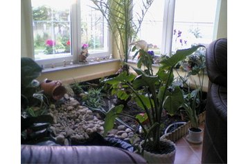 Hungría Privát Bük, Exterior